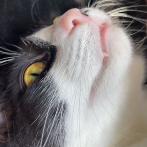 Meet your Posher, Christina